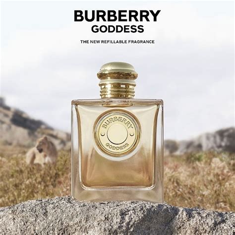 burberry parfum fragrantica|fragrantica burberry goddess.